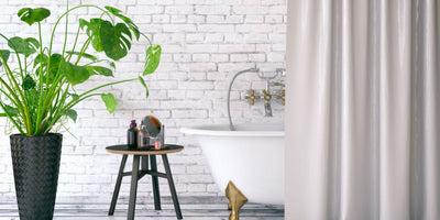 Toque botánico, plantas en tu cuarto de baño